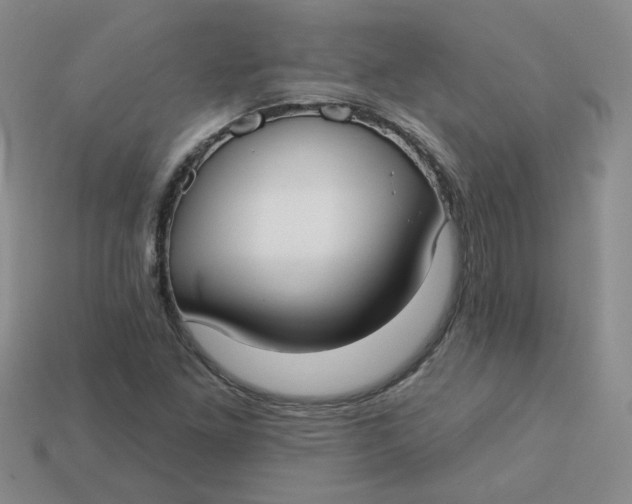 X0000113271261200910011421