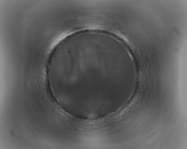 X0000113271263200910011421