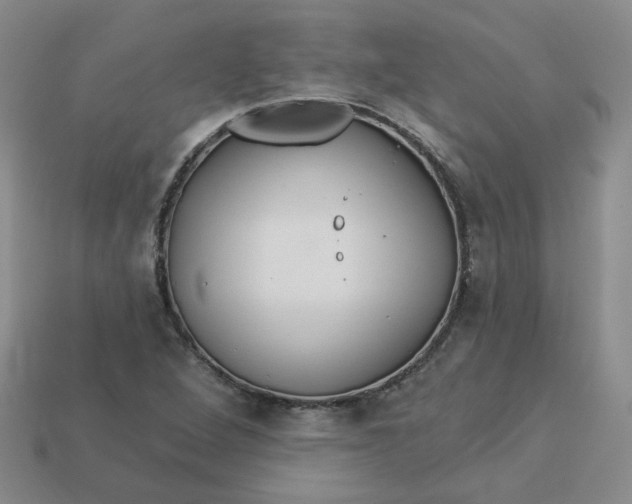 X0000113271264200910011421