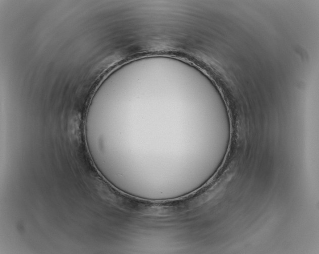 X0000113271265200910011421