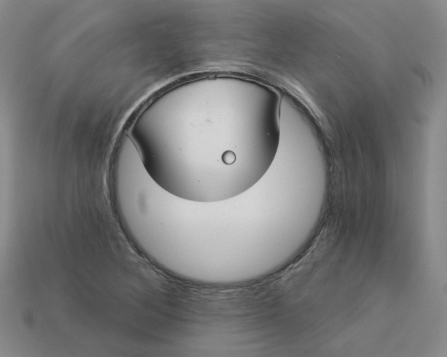 X0000113271268200910011420