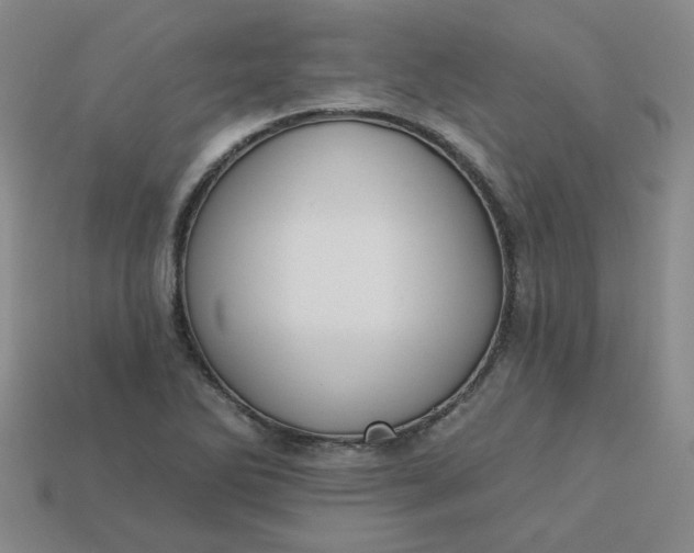 X0000113271270200910011420