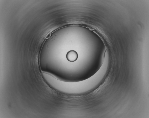 X0000113271273200910011420