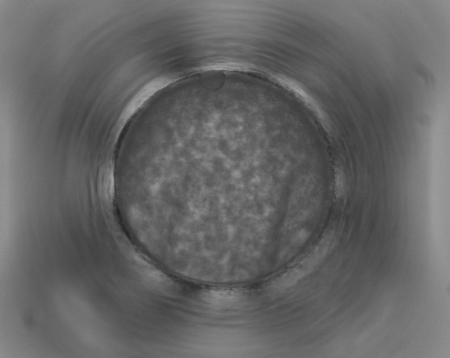 X0000113271274200910011420