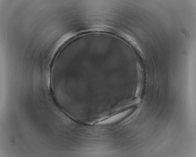 X0000113271275200910011420