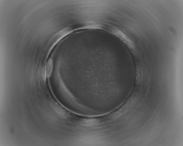 X0000113271276200910011420