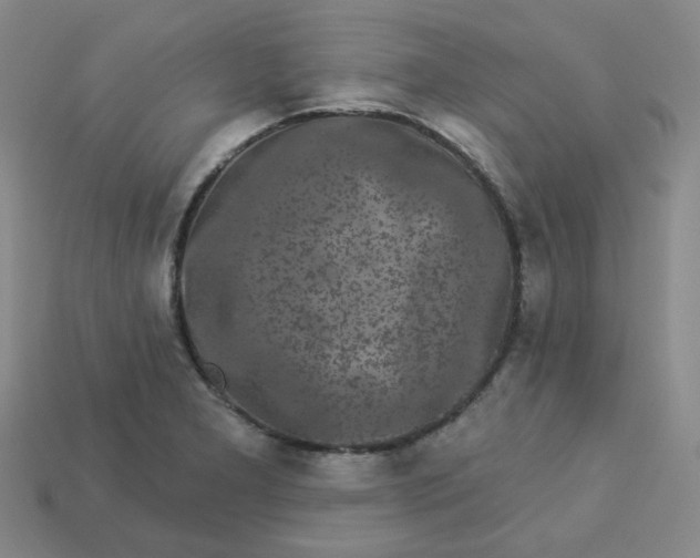 X0000113271277200910011420