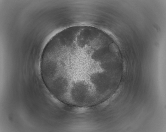 X0000113271278200910011420