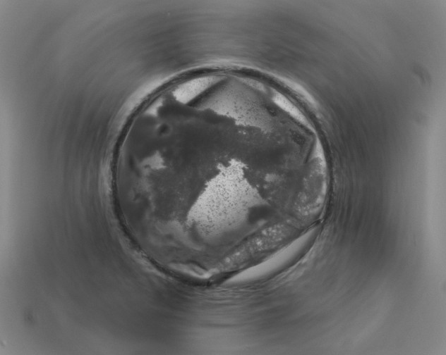 X0000113271279200910011420