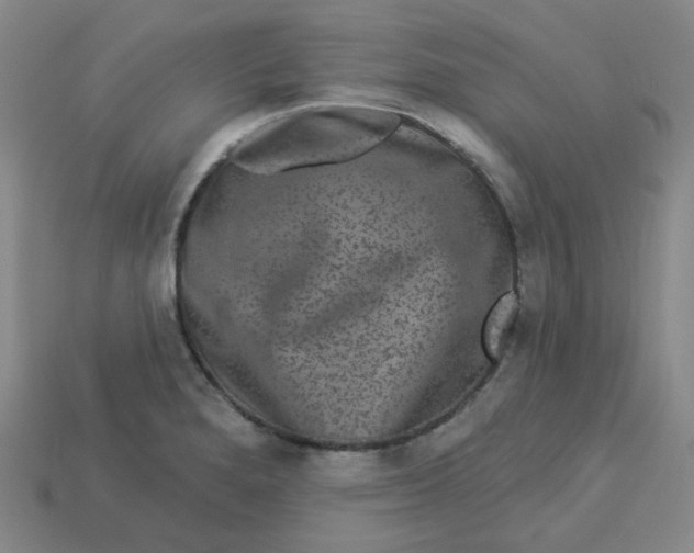 X0000113271280200910011420