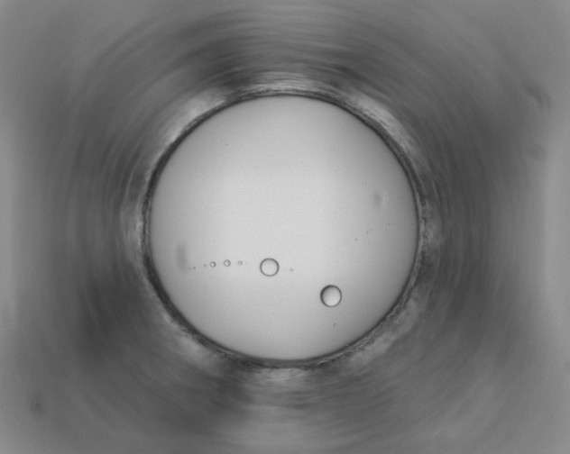 X0000113271282200910011420