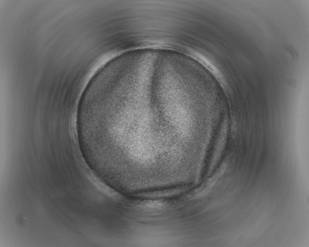 X0000113271283200910011420