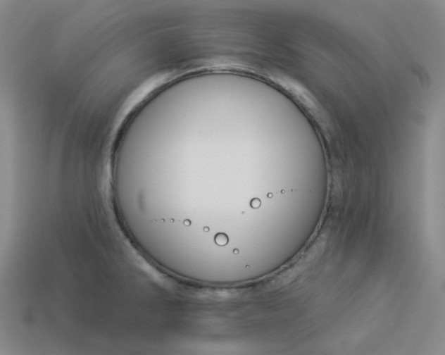 X0000113271286200910011420