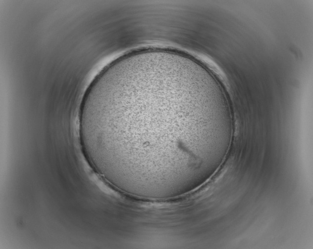 X0000113271287200910011420