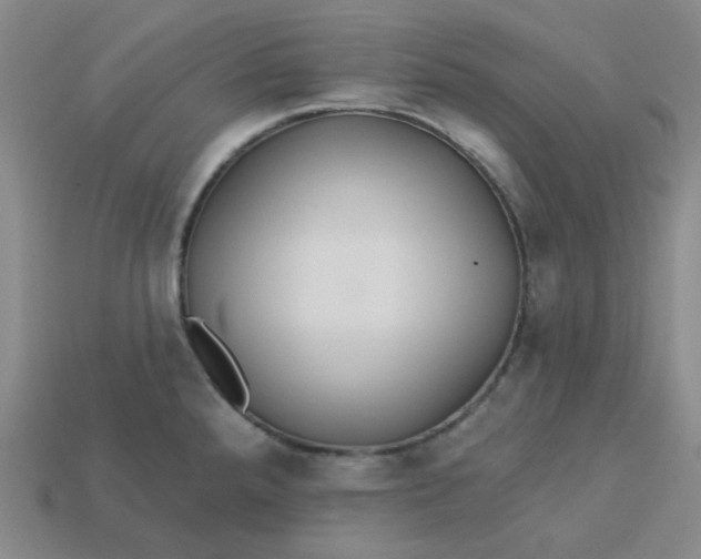 X0000113271288200910011420