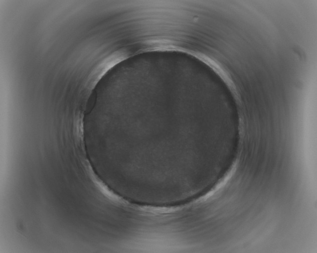 X0000113271289200910011420