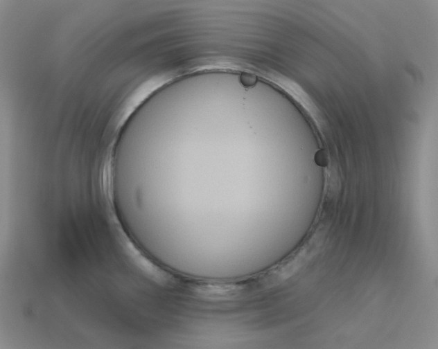 X0000113271290200910011420