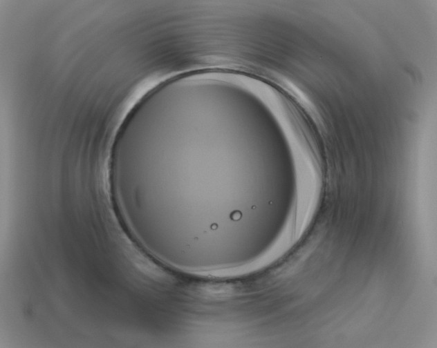 X0000113271291200910011420