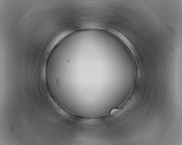 X0000113271293200910011420