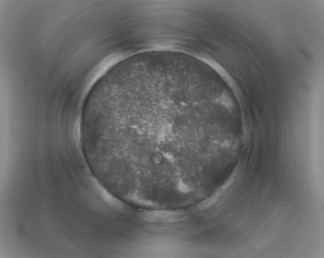 X0000113271294200910011420