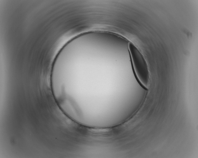 X0000113271296200910011420