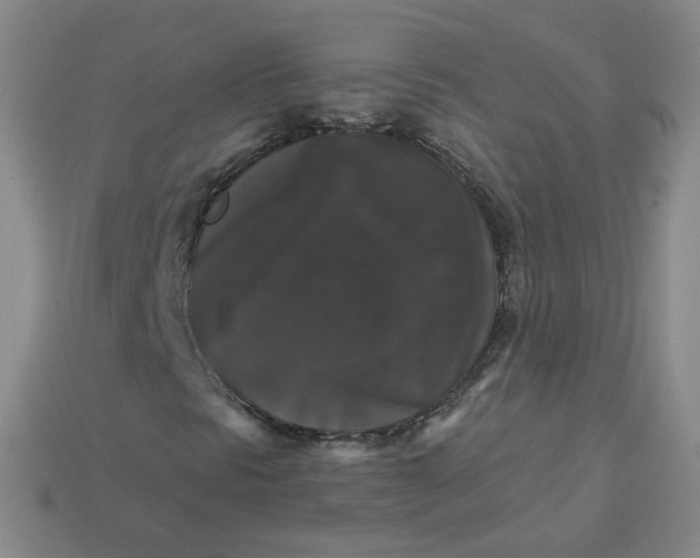 X0000113271297200910011419