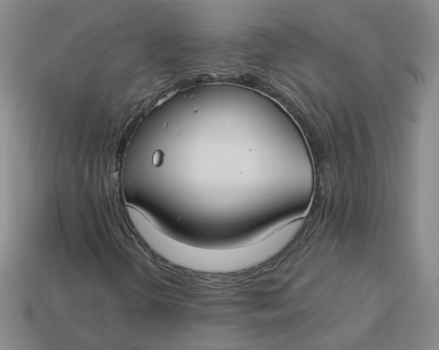 X0000113271298200910011420