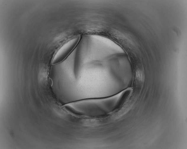 X0000113271300200910011420