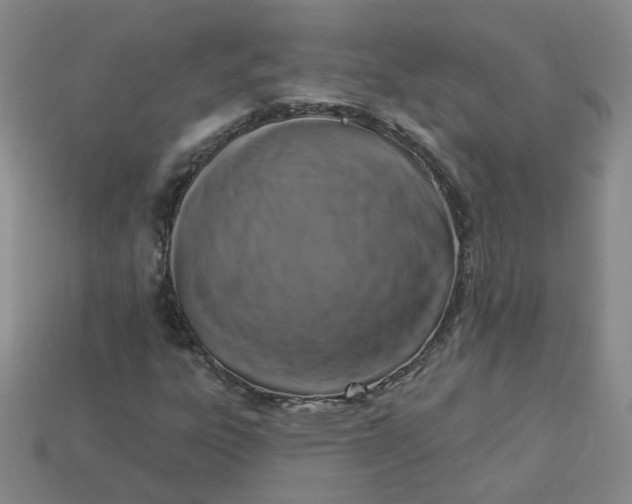 X0000113271303200910011420