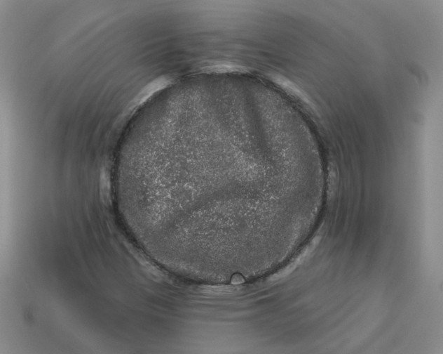 X0000113271305200910011420