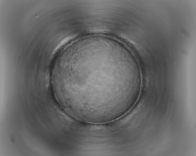 X0000113271306200910011420