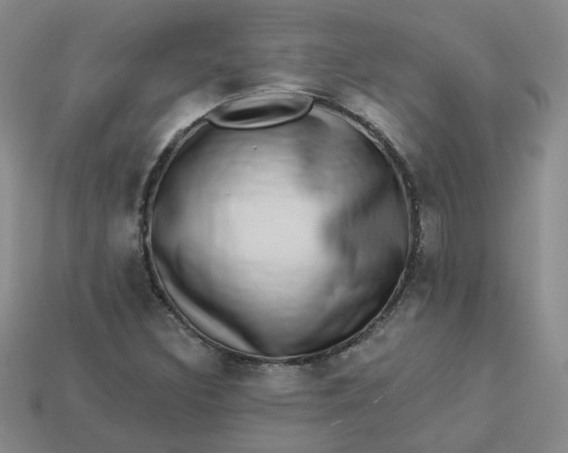 X0000113271308200910011420