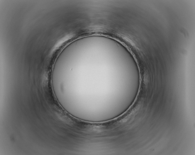 X0000113271309200910011420