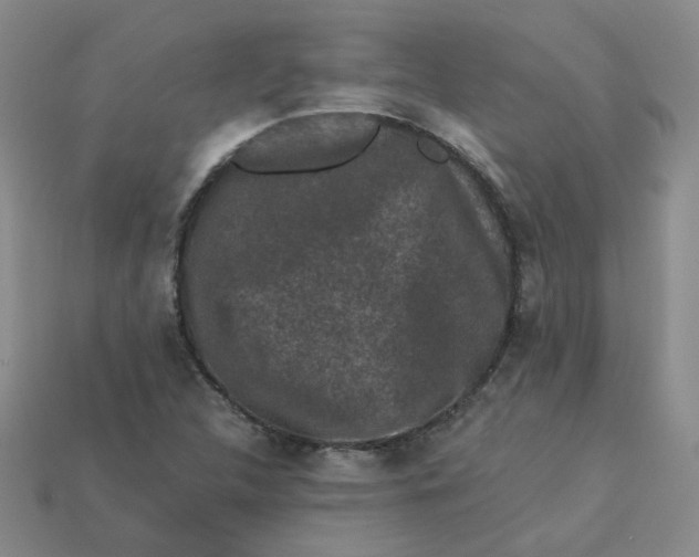 X0000113271312200910011420