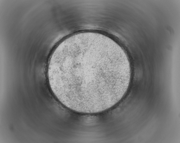 X0000113271314200910011420