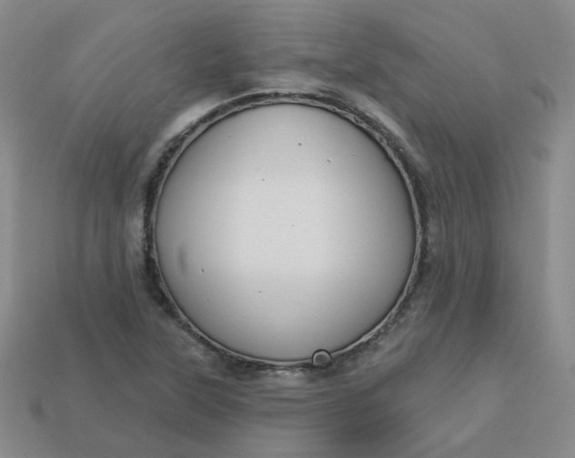 X0000113271315200910011420