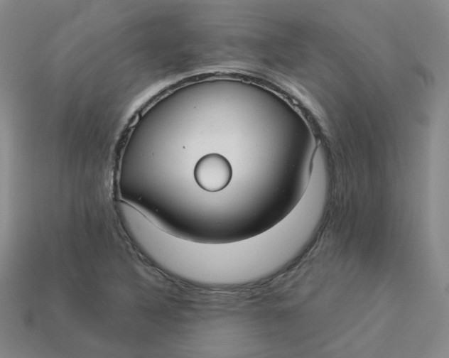 X0000113271316200910011420