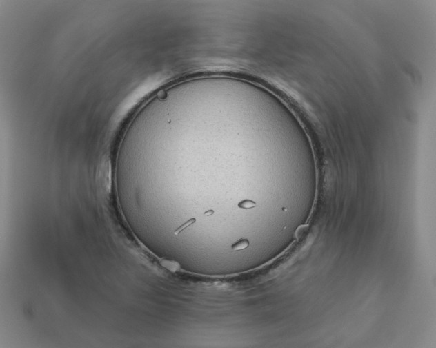 X0000113271317200910011420