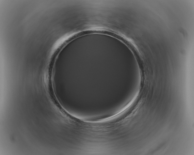 X0000113271319200910011420