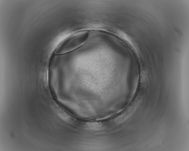 X0000113271320200910011420