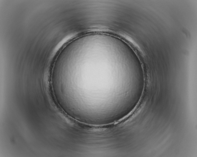 X0000113271325200910011420