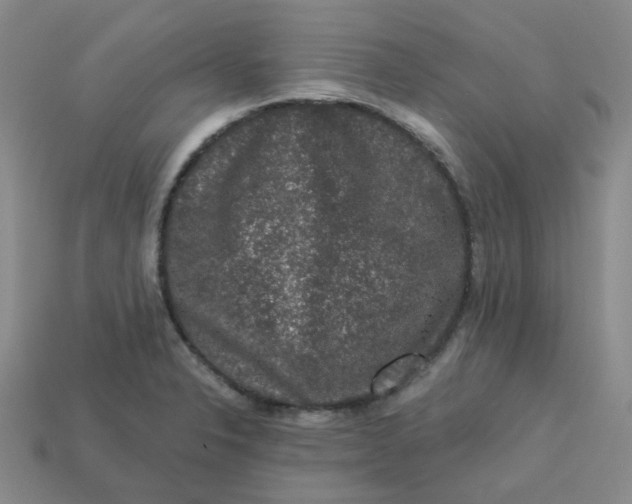 X0000113271326200910011420