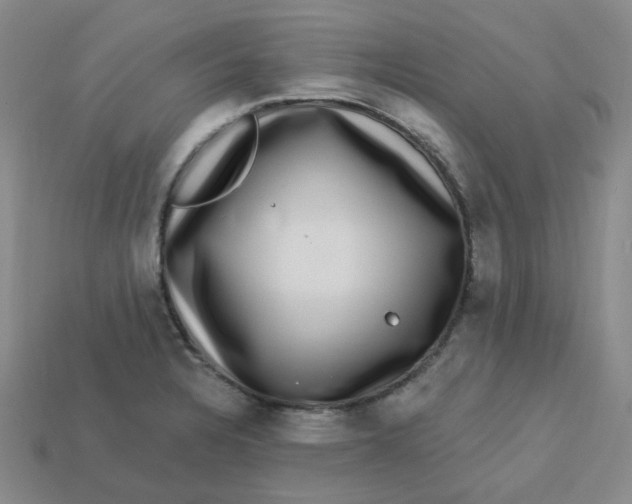 X0000113271328200910011420