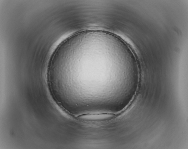 X0000113271333200910011420