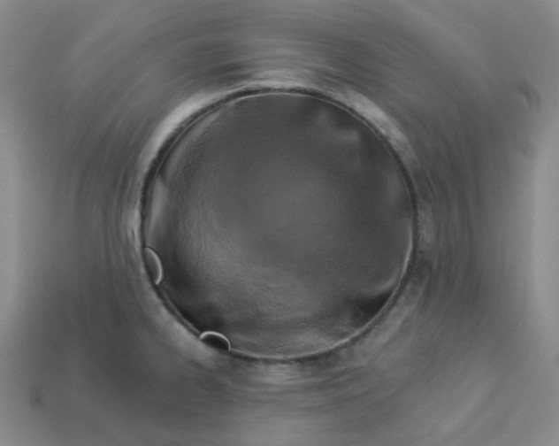 X0000113271334200910011420