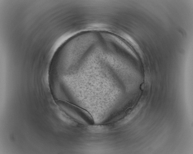 X0000113271336200910011420