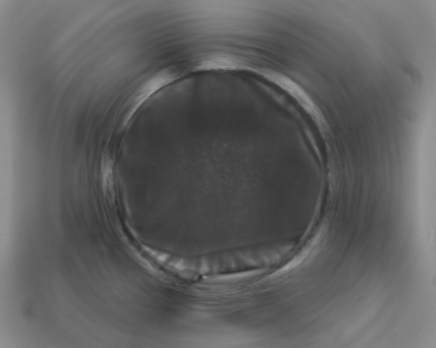 X0000113271337200910011420