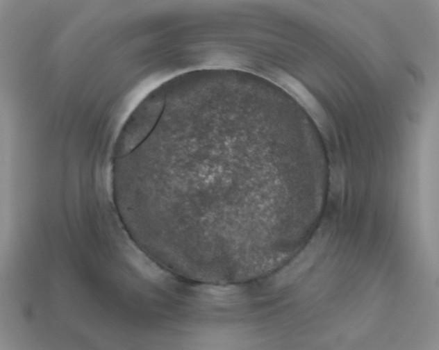 X0000113271340200910011420