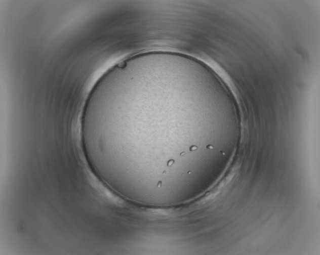 X0000113271341200910011420