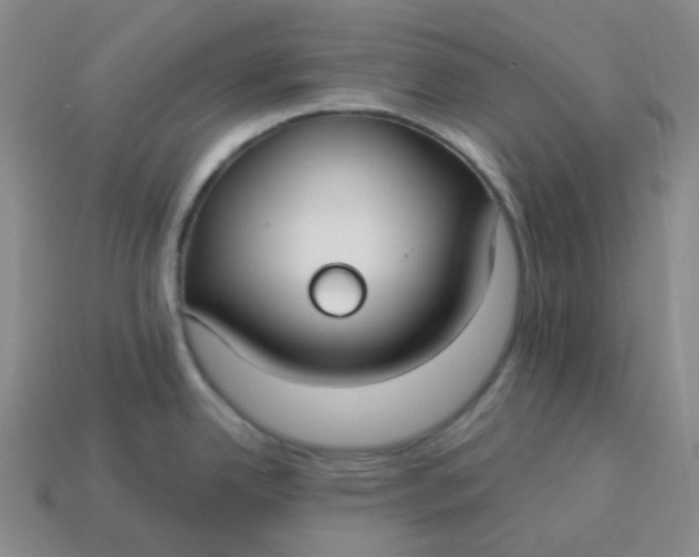 X0000113271342200910011420